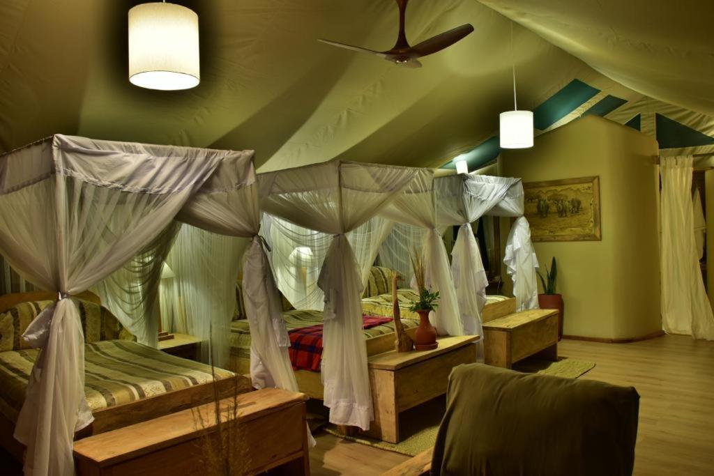 Mara Maisha Camp Talek Ngoại thất bức ảnh